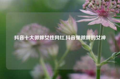 抖音十大微胖女性网红,抖音里微胖的女神