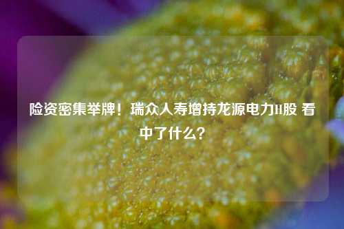 险资密集举牌！瑞众人寿增持龙源电力H股 看中了什么？