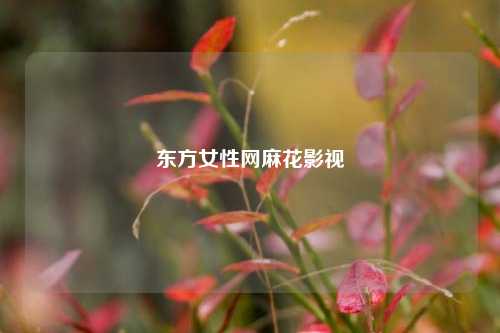 东方女性网麻花影视