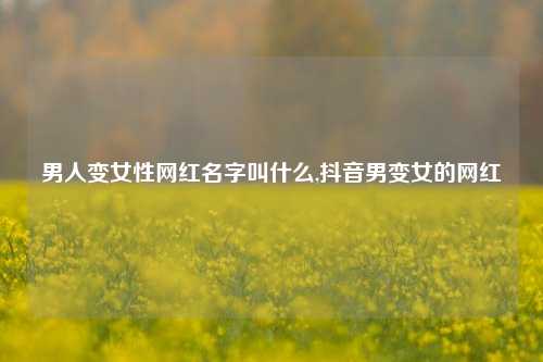 男人变女性网红名字叫什么,抖音男变女的网红