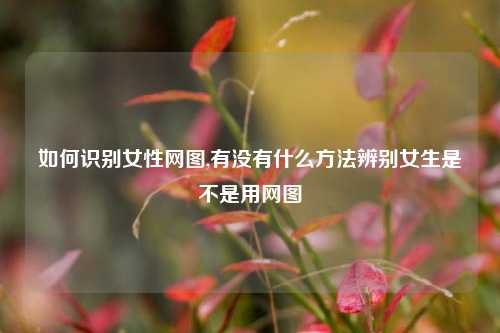 如何识别女性网图,有没有什么方法辨别女生是不是用网图