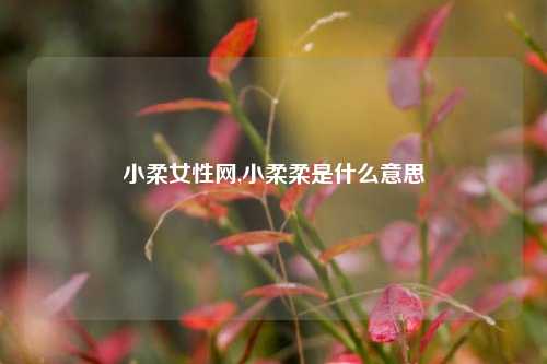 小柔女性网,小柔柔是什么意思