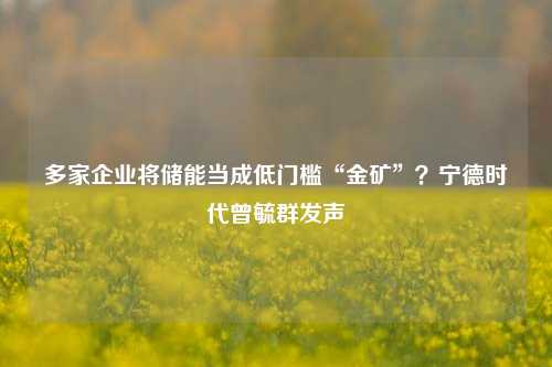 多家企业将储能当成低门槛“金矿”？宁德时代曾毓群发声