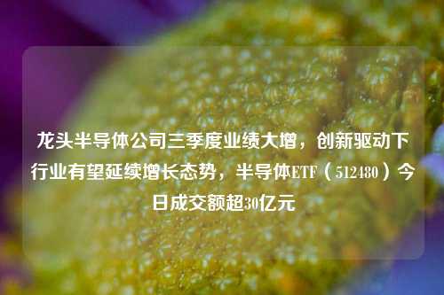 龙头半导体公司三季度业绩大增，创新驱动下行业有望延续增长态势，半导体ETF（512480）今日成交额超30亿元