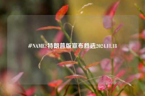 #NAME?特朗普版宣布胜选2024.11.18