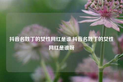 抖音名姓丁的女性网红是谁,抖音名姓丁的女性网红是谁呀