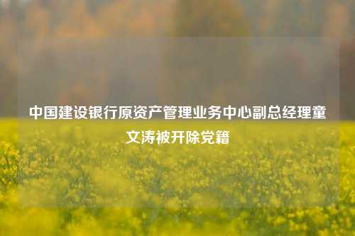 中国建设银行原资产管理业务中心副总经理童文涛被开除党籍