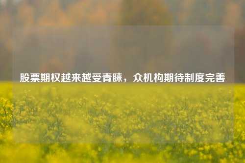 股票期权越来越受青睐，众机构期待制度完善