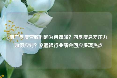 前三季度营收利润为何双降？四季度息差压力如何应对？交通银行业绩会回应多项热点