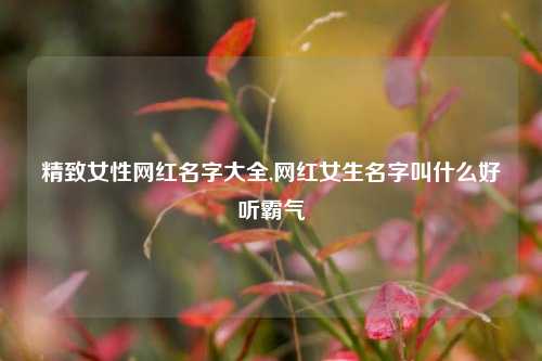 精致女性网红名字大全,网红女生名字叫什么好听霸气