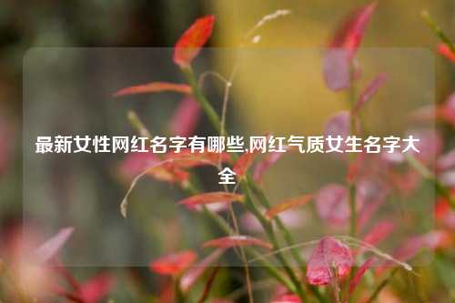 最新女性网红名字有哪些,网红气质女生名字大全