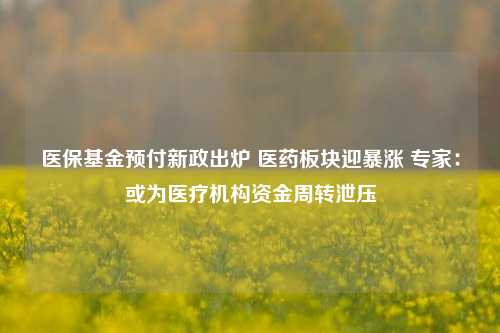 医保基金预付新政出炉 医药板块迎暴涨 专家：或为医疗机构资金周转泄压