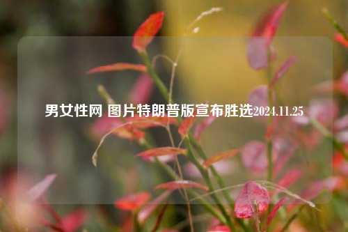 男女性网 图片特朗普版宣布胜选2024.11.25