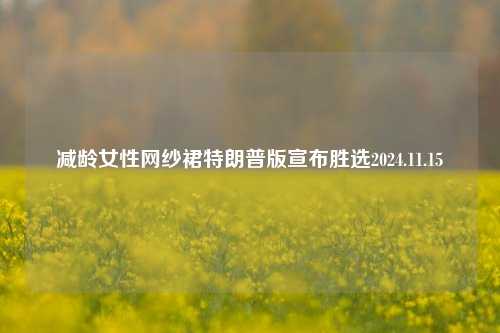 减龄女性网纱裙特朗普版宣布胜选2024.11.15