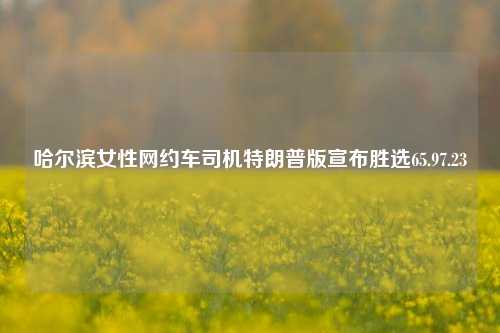 哈尔滨女性网约车司机特朗普版宣布胜选65.97.23