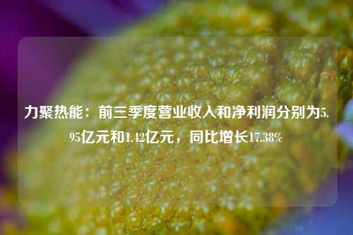 力聚热能：前三季度营业收入和净利润分别为5.95亿元和1.42亿元，同比增长17.38%