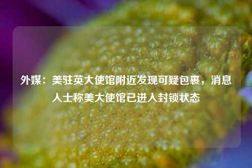 外媒：美驻英大使馆附近发现可疑包裹，消息人士称美大使馆已进入封锁状态