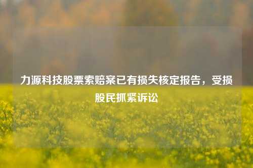 力源科技股票索赔案已有损失核定报告，受损股民抓紧诉讼