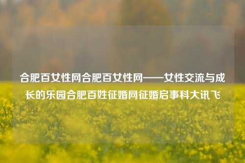 合肥百女性网合肥百女性网——女性交流与成长的乐园合肥百姓征婚网征婚启事科大讯飞