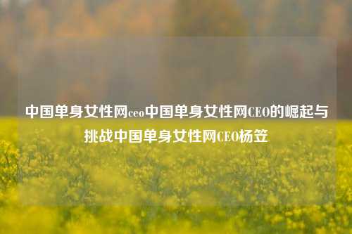 中国单身女性网ceo中国单身女性网CEO的崛起与挑战中国单身女性网CEO杨笠