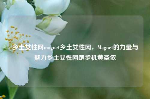 乡土女性网magnet乡土女性网，Magnet的力量与魅力乡土女性网跑步机黄圣依