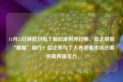 11月25日保险日报丨新旧准则并行期，险企财报“颠簸”前行！险企参与个人养老金市场还需供需两端发力