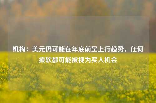 机构：美元仍可能在年底前呈上行趋势，任何疲软都可能被视为买入机会