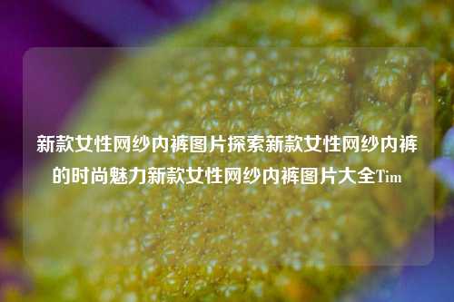 新款女性网纱内裤图片探索新款女性网纱内裤的时尚魅力新款女性网纱内裤图片大全Tim