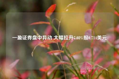 一盈证券盘中异动 大幅拉升7.08%报0.714美元