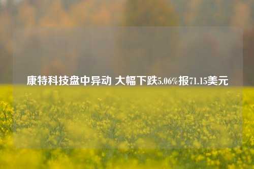 康特科技盘中异动 大幅下跌5.06%报71.15美元