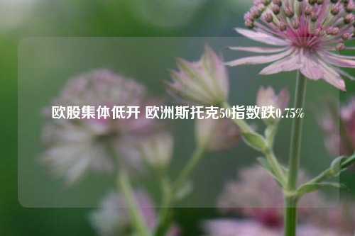 欧股集体低开 欧洲斯托克50指数跌0.75%