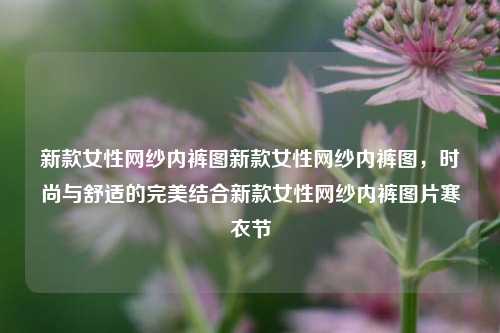 新款女性网纱内裤图新款女性网纱内裤图，时尚与舒适的完美结合新款女性网纱内裤图片寒衣节