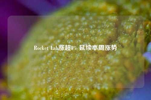 Rocket Lab涨超8% 延续本周涨势