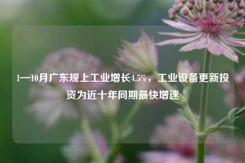 1—10月广东规上工业增长4.5%，工业设备更新投资为近十年同期最快增速