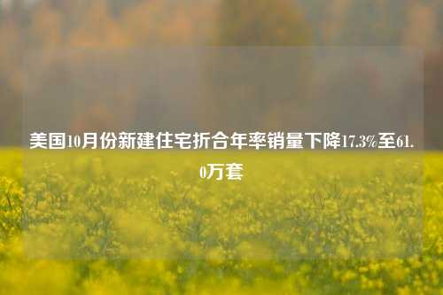 美国10月份新建住宅折合年率销量下降17.3%至61.0万套