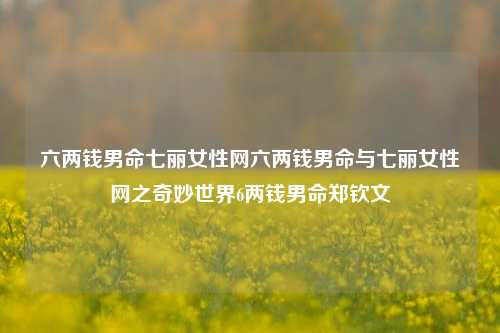 六两钱男命七丽女性网六两钱男命与七丽女性网之奇妙世界6两钱男命郑钦文