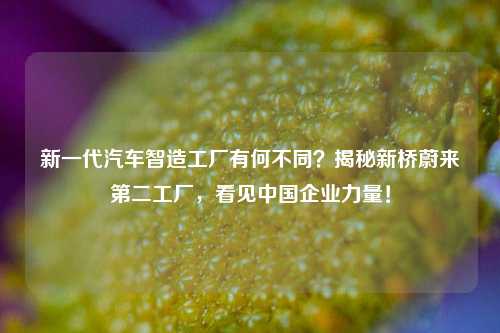 新一代汽车智造工厂有何不同？揭秘新桥蔚来第二工厂，看见中国企业力量！