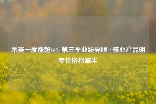 禾赛一度涨超16% 第三季业绩亮眼+核心产品明年价格将减半