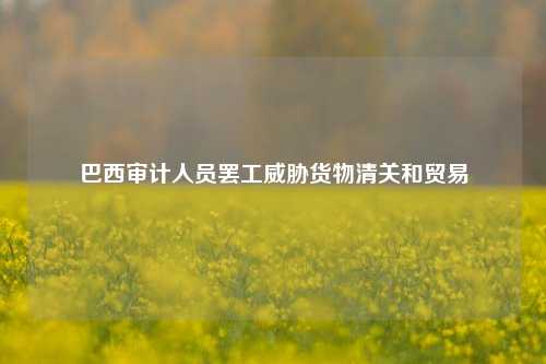 巴西审计人员罢工威胁货物清关和贸易