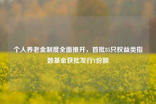 个人养老金制度全面推开，首批85只权益类指数基金获批发行Y份额