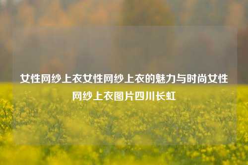 女性网纱上衣女性网纱上衣的魅力与时尚女性网纱上衣图片四川长虹